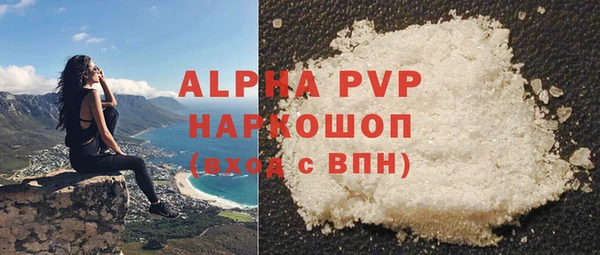 прущие грибы Каменск-Шахтинский