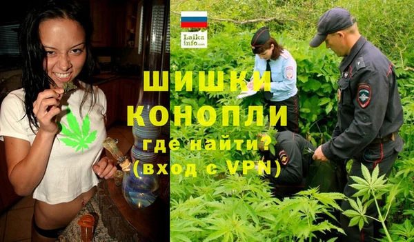 прущие грибы Каменск-Шахтинский