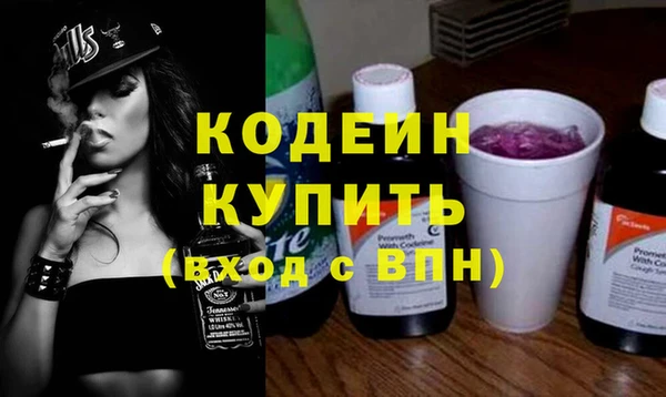 сатива Инта