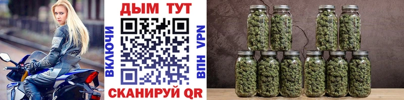 Каннабис сатива Катайск